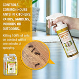 EcoRaider Ant & Crawling Insect Killer (32 OZ), 100% Fast Kills, Also Kills Fire Ants. Lasting Repellency, Safe for Children & Pets