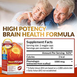 LABO Nutrition NeuroREGAIN - Scallop-derived PLASMALOGEN for Brain Deterioration, Memory, Alertness, Learning, Concentration and Other Cognitive Functions – Suitable for Seniors, Adult Men & Women