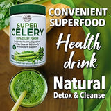 COUNTRY FARMS Super Celery Powder, 100% Celery Powder, Supports Healthy Digestion, Helps Cleanse & Detoxify, Antioxidant Support, 40 Servings, 11.3 Ounce (Pack of 1)