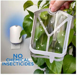 MELTINK ZEVO Indoor Flying Insect Trap for Fruit Flies, Gnats, and House Flies (1 Plug-in Base + 3 Refill Cartridge)