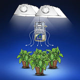 The Exhale Homegrown CO2 - Premixed Ready to Use Bag for Grow Rooms and Tents with Hanger | Twin Canaries Chart Included