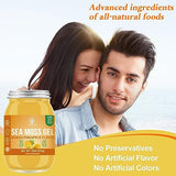 Sea Moss Gel (18 OZ), Wildcrafted Irish Seamoss Gel Rich in 92 Minerals & Vitamins, Supports Immune System & Thyroid & Antioxidant, Non-GMO, Vegan, Pineapple & Mango Flavor