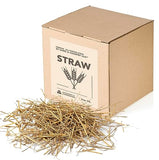 Premium Garden Straw (4 LBS) - Straw Mulch That is Designed for Use in Compost Beds, Gardens, Pet Bedding, Lawns and Much More. by Home and Country USA