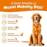 Zesty Paws New Zealand Green Lipped Mussel Bites for Dogs - 500 mg Dog Hip & Joint Support Supplement Soft, 90 Count, Chicken