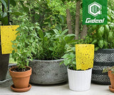 Gideal 50-Pack Dual-Sided Yellow Sticky Traps for Flying Plant Insect Such as Fungus Gnats, Whiteflies, Aphids, Leafminers,Thrips - (6x8 Inches, Included 50pcs Twist Ties)