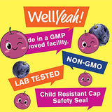 WellYeah Iron Gummies for Kids with Vitamin C - Anemia Support, Red Blood Cell Formation, Energy, and Immunity Support Gummy, Iron Supplements for Kids - GMO Free, Natural Grape Flavor - 60 Count