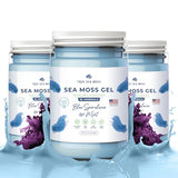 TrueSeaMoss Wildcrafted Irish Sea Moss Gel – Nutritious Raw Seamoss Rich in Minerals, Proteins & Vitamins – Health Supplement, Vegan-Friendly Made in USA (Blue Spirulina)