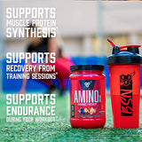 BSN Amino X Muscle Recovery & Endurance Powder with BCAAs, Intra Workout Support, 10 Grams of Amino Acids, Keto Friendly, Caffeine Free, Flavor: Blue Raz, 30 Servings (Packaging May Vary)