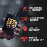 ALPHA LION Core Pre Workout Powder with Creatine for Performance, Beta Alanine for Muscle, L-Citrulline for Pump & Tri-Source Caffeine for Sustained Energy (30 Servings, Fruit Punch Flavor)