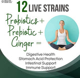 Liquid Probiotics for Women Men & Kids | Prebiotic +Ginger + Probiotics for Digestive Health | Acidophilus Probiotic | Dairy Free | Vegan | Non-GMO | Gluten Free | 30 Servings