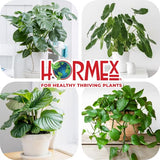 Hormex Rooting Powder #16 (1 Pack) - Rooting Hormone for Difficult to Root Plants - Fast & Easy Way to Clone Plants from Cuttings - Stronger, Healthier Roots Using Cloning Powder - 1.6 IBA