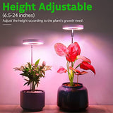 ROMSTO Grow Lights for Indoor Plants, LED Full Spectrum Plant Light for Indoor Plants, Height Adjustable Grow Light with 10 Dimmable Brightness, 8/12/16H On/Off Timer, Ideal for Small Plants,2 Packs