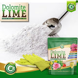 Dolomite Lime - Made in USA - Garden Soil Amendment Fertilizer for Plants. Calcium/Magnesium Additive. Safely Raise & Stabilize pH - Earthbox Tomatoes & Peppers Blossom End Rot. OMRI Listed