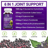 Glucosamine Chondroitin Gummies - 2- Pack, Extra Strength 1500mg Glucosamine with MSM & Elderberry, Joint Support Supplement, Best Cartilage & Immune Support Supplement for Men and Women - 120 count