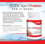 SEDDS Super GI Probiotics 112.5 Billion CFU per Serving Supports Digestive Health & Relieves Gastrointestinal Distress | Highest Potency 8 Strain Formula | 60 Capsules