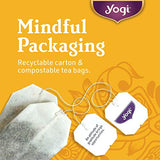 Yogi Tea Berry DeTox Tea - 16 Tea Bags per Pack (4 Packs) - Organic Detox Tea - Supports Healthy Cleansing - Includes Ginger Root, Fennel Seed, Burdock, Dandelion, Hibiscus & Blueberries