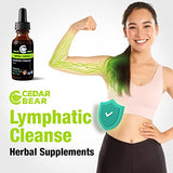 Cedar Bear - Lymphatic Cleanse Immune Support Supplement, Alcohol-Free Lymphatic Drainage Drops with Immune-Enhancing Natural Herbs, Liquid Herbal Supplements, 1 fl oz