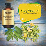100% Pure Ylang Ylang Oil - Premium Ylang-Ylang Essential Oil for Aromatherapy, Massage, Topical & Household Uses - 1 fl oz (Ylang Ylang)