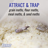 TERRO T2900 (Pack of 2) Pantry Moth Traps - Traps grain moths, flour moths, meal moths, and seed moths, (Packaging May Vary)