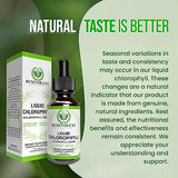 Benevolent Chlorophyll Liquid Drops - 100% Natural + 4X Potency Concentration for Energy Boost, Immune System Support, Internal Deodorant, Altitude Sickness. Not Watered Down. Minty Flavor