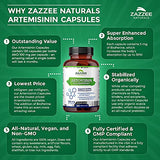 Zazzee High Absorption Artemisinin, 100 mg per Capsule, 120 Vegan Capsules, with 5 mg BioPerine for Maximum Absorption, Sweet Wormwood Extract, 4 Month Supply, All-Natural and Non-GMO