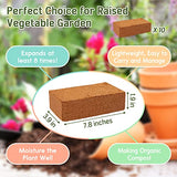 Legigo 10 Pack Premium Coco Coir Brick for Plants- 100% Organic Compressed Coconut Coir Bricks Starting Mix, Coco Coir Fiber Coconut Husk for Planting, Gardening, Potting Soil Substrate, Herbs