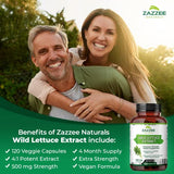 Zazzee Wild Lettuce Extract, 500 mg Strength per Capsule, 120 Vegan Capsules, Most Potent Lactuca Virosa Variety, Powerful 4X Extract, Vegan and Non-GMO