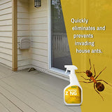 NatroZing Ant & Roach Killer 32 oz Indoors and Outdoors, Ant Spray for Home, Ant Repellent for House，Fast Kill, Prevents for Weeks,Also Kills Roaches Spiders Centipedes, Plant Extract Based Non-Toxic