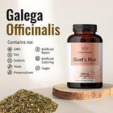 HERBAMAMA Goat's Rue Capsules - Galega Officinalis Nutritional Supplement - 1200 mg, 250 Capsules - Promotes Milk Flow, Lactation & Mammary Tissue Development - Non-GMO Support for Breastfeeding