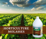 Medina Horticultural Molasses 4800 Sq. Ft. Liquid Gal