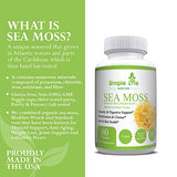 Simple Life Nutrition Organic Irish Sea Moss Capsules 1400MG - Advanced with Burdock Root, Bladderwrack & Black Pepper - Immune System, Gut & Thyroid Cleanser Sea Moss Gel Powder Supplement - 60CT