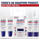Aquaphor Lip Repair Stick, Lip Protectant, Moisturizing Lip Balm Multipack, 2 Count (Pack of 1)