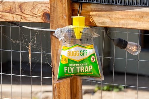 BUGG OFF - 12 Pack Indoor & Outdoor Disposabe Hanging Fly Traps with Natural Pre-Bait, Catchers Flyes Everywhere Anywhere, Stables, Ranches, Homes, Offices, Cottages and More