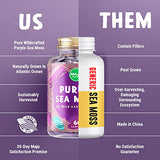 MAJU's Powerful Purple Sea Moss Capsules (60 ct), Extra-Strength Purple Minerals, Chondrus Crispus, Stronger Than Gel, Compare to Organic Irish Seamoss Capsule, Wild Harvested Powder Pills