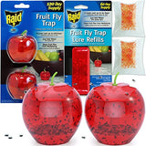 Raid Fruit Fly Traps - 2 Lures + 2 Refills - Effective Indoor Killer & Gnat Traps - Easy to Use, Safe Food-Based Catcher