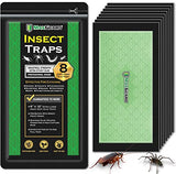 MAXGUARD Extra Large Insect Traps | Non-Toxic Extra Sticky Pre-Baited Glue Boar (8 Traps)