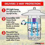 DynaTrap DT1050-AZSR Mosquito, Beetle & Flying Insect Trap – Kills Mosquitoes, Flies, Wasps, Gnats, Beetles Other Insects Protects up to 1/2 Acre