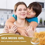 Sea Moss Gel, Organic Raw Flavored Irish Seamoss Gel Immune and Digestive Support Vitamin Mineral Antioxidant Supplements, Original 18.5oz