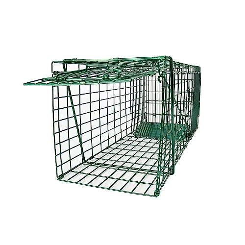 Collapsible Humane Live Animal Cage Trap No-Kill Trapping Kit for Humane Catch Release Rabbits, Stray Cat, Squirrel, Raccoon, All Fit Sized Animals, Heavy Duty, 2-Door 26" x 9.5" x 10.2", Hidden Green