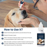 Burxoe Cataract Drops for Pets, Gentle&Safe Dog Eye Drops, Improve Eye Vision and Cataracts, for Dogs, Cats, Horses, Rabbit, 2 Pcs