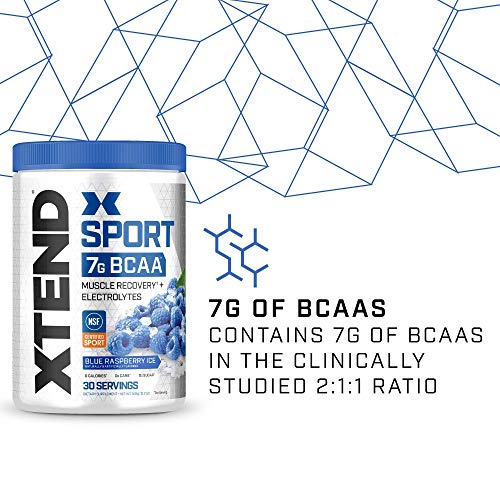 XTEND Sport BCAA Powder Blue Raspberry Ice - Electrolyte Powder for Recovery & Hydration with Amino Acids - 30 Servings