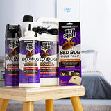 Hot Shot Bed Bug Treatment Kit For Insects