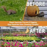 ANEWNICE Squirrel Repellent Pouches, Natural Squirrel Repellent Outdoor, Rodent Repellent, Squirrel Repellent for Attic and Cars, Squirrel Repellent for Plants and Garden - 10 Pouches
