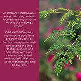ORGANIC INDIA Triphala Herbal Supplement - Digestion & Colon Support, Immune System Support, Adaptogen, Nutrient Dense, Vegan, Gluten-Free, USDA Certified Organic, Non-GMO - 180 Capsules
