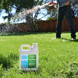 Advanced 16-4-8 Lawn Fertilizer - Liquid Lawn Food Spring & Summer Concentrated Spray - Any Grass Type- Fish and Seaweed Kelp- Balanced NPK - Simple Lawn Solutions (1 Quart)