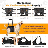 Chalklit Dog Sling for Large Dogs Hind Leg, Dog Lift Harness for Rear Legs Support to Help Rehabilitate The Hind Limbs of Elderly Dogs with Weak Hind Legs Disabilities and Injuries Help for Arthritis