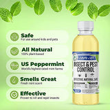 Mighty Mint Insect & Pest Control Peppermint Concentrate 8 oz - Makes 1 Gallon - Plant-Based Formula Kills and Prevents Spiders, Ants, Flying Insects, and More