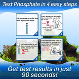 Phosphate Test Strips - For Fresh/Salt Water Aquariums, Pools, Spas, Lab Grade, for Professional Or Home Use - Fast & Accurate Results! (25 Count)