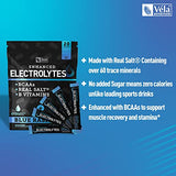 Enhanced Powder Stick Packs (Blue Raspberry - 20 Packets) Sugar Free + BCAA B-Vitamins & Real Salt® - Keto Electrolytes, Hydration Powder w Potassium, Sodium, Zinc, Magnesium Hydration & Recovery