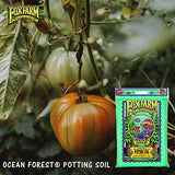 Fox Farm Ocean Forest Potting Soil FFOF Sea Moss Organic 12 Quart Bundled with Pearsons Protective Gloves (2 Pack)